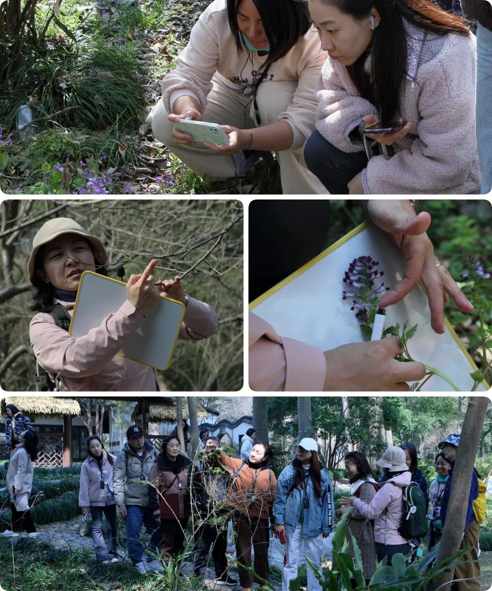 新闻｜茶香浸染 文化共建——“惊蛰护生”暨定山书院揭牌仪式在转塘举行