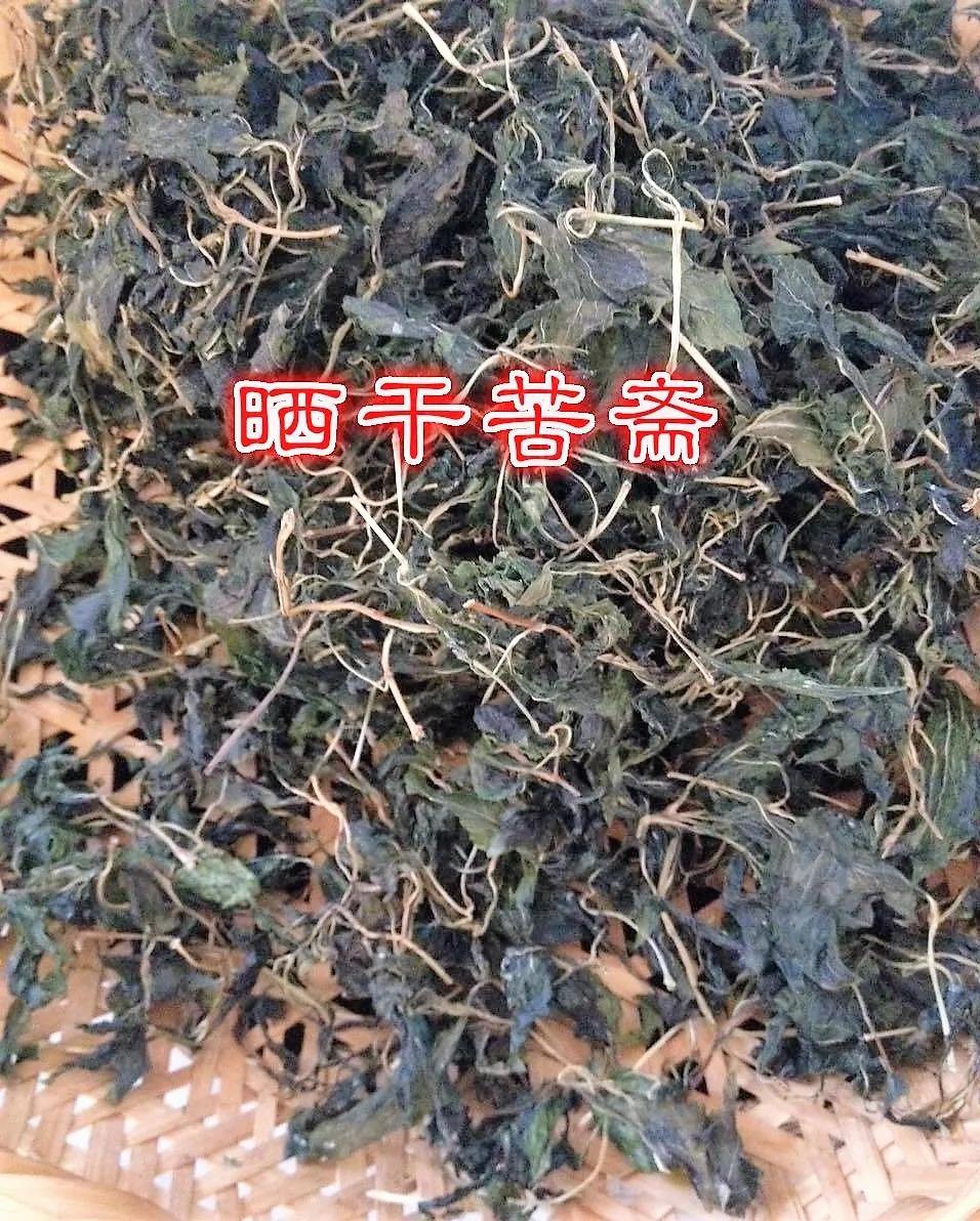 春季的苦味——败酱草