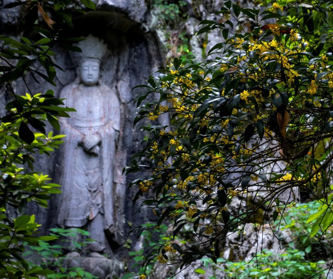 太虚大师：许多善男信女烧香拜菩萨，而对于菩萨的真相实义都莫名其妙