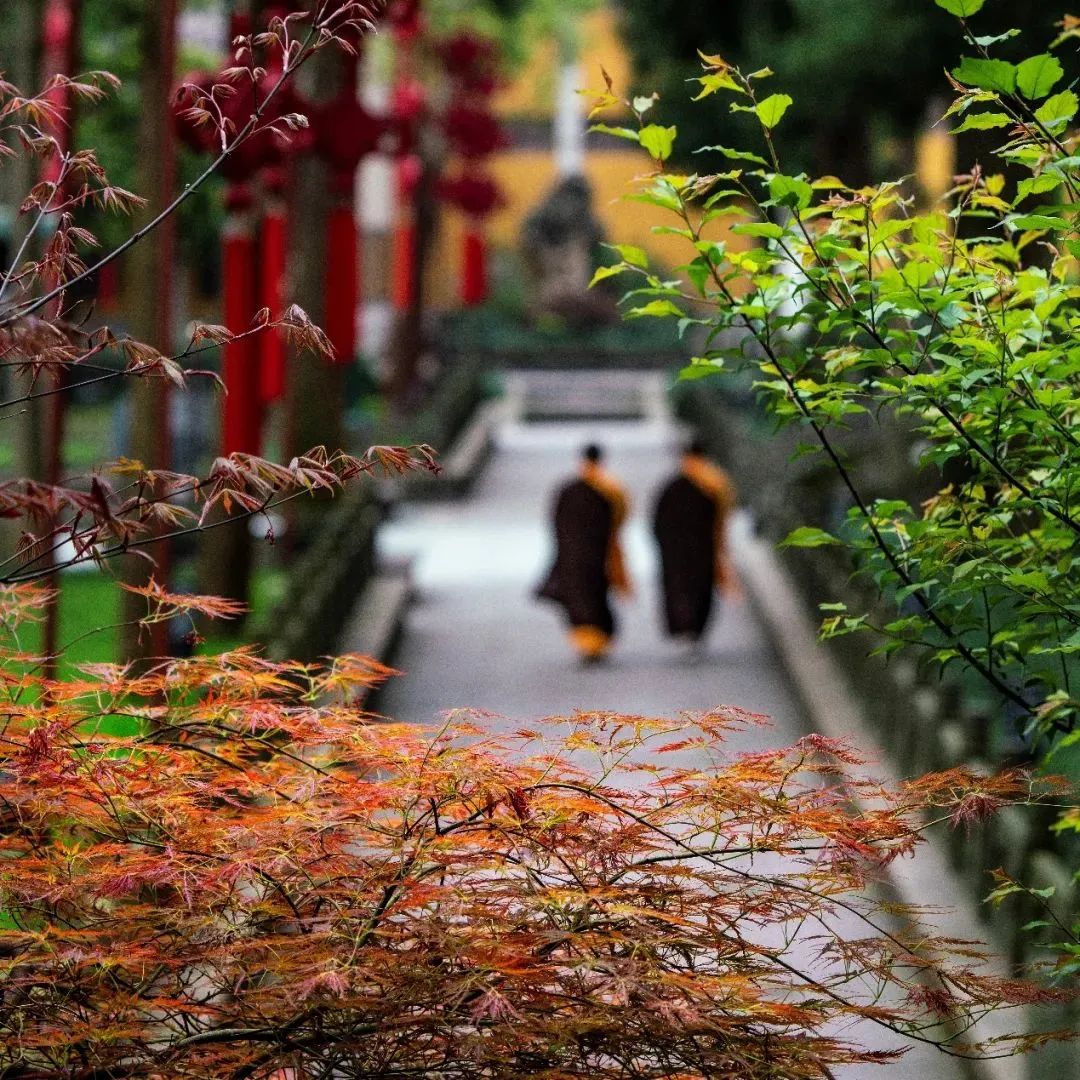 开示｜弘一大师：恭敬三宝，常人所应注意的数条