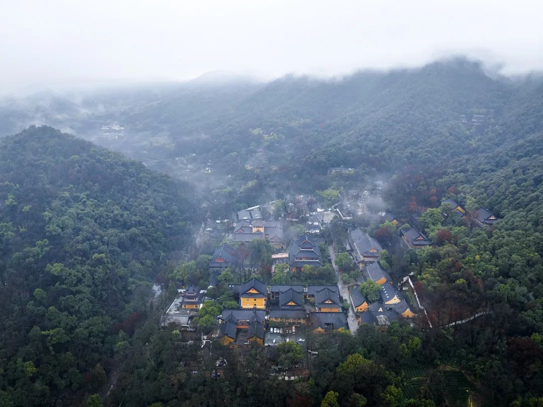 观照｜​早晚课——一门自利利人的好功课