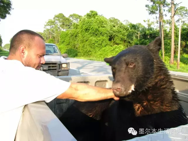 他毫不犹豫游向了世界上最危险的动物&nbsp;