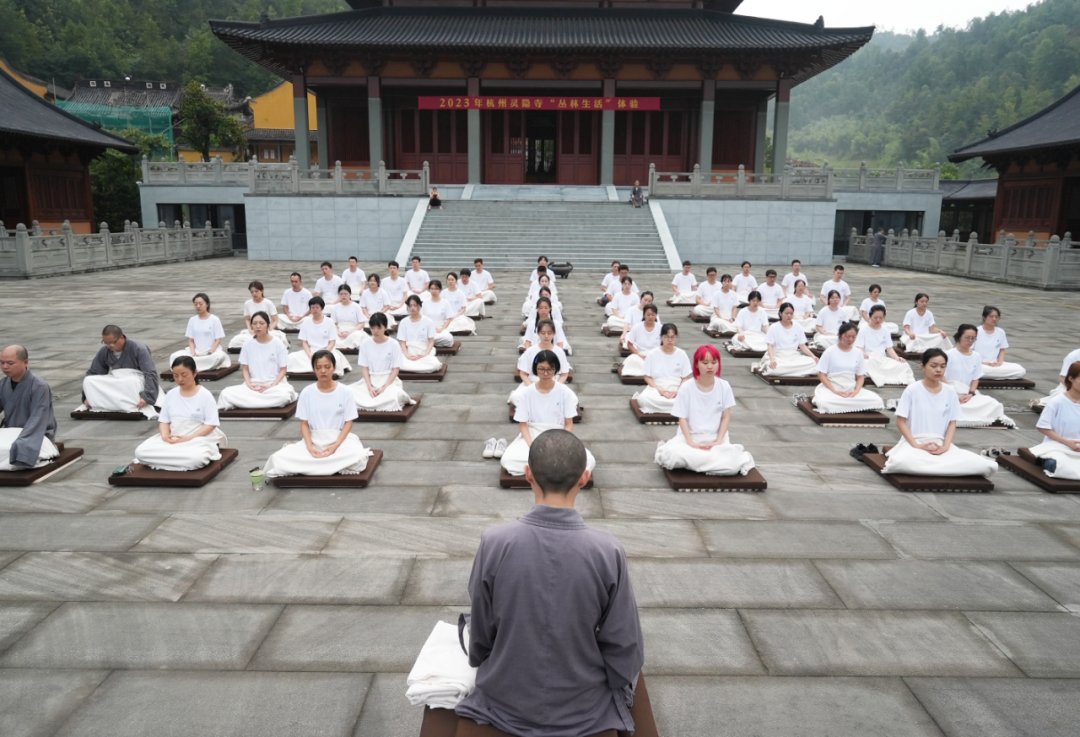 新闻｜2023年丛林生活体验活动圆满