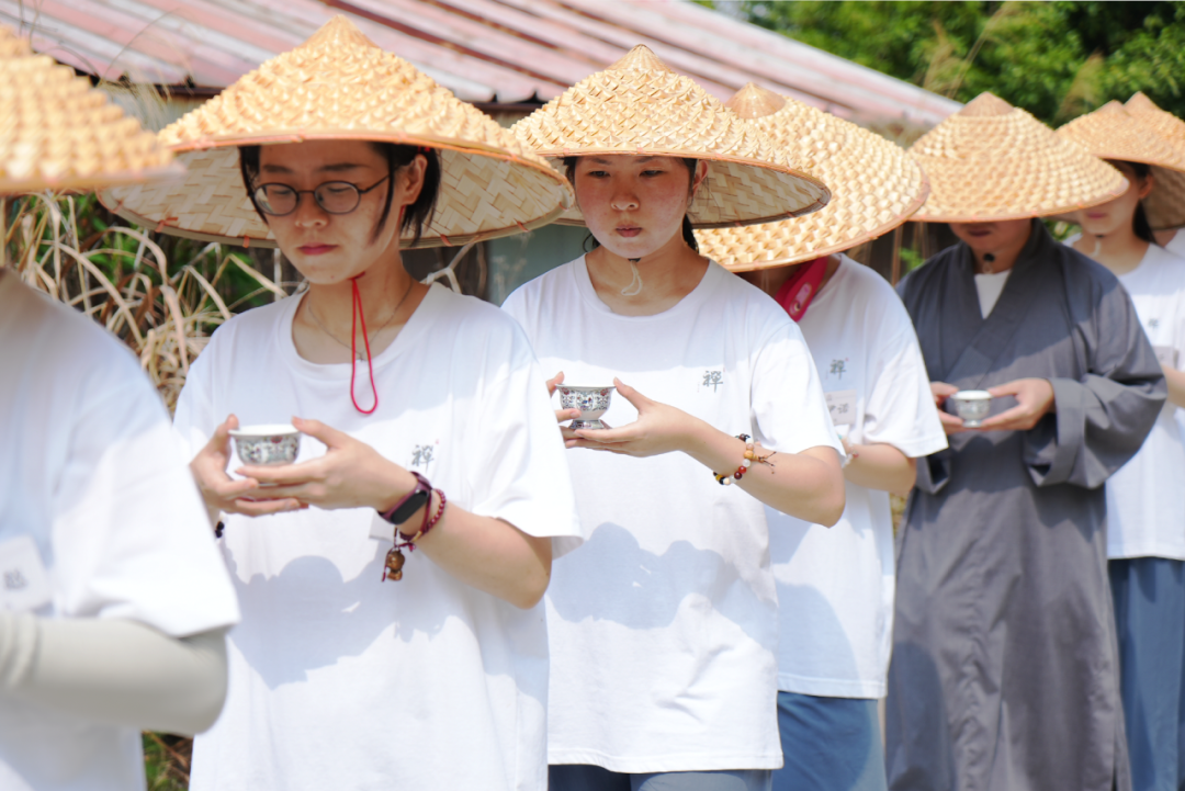 新闻｜2023年丛林生活体验活动圆满