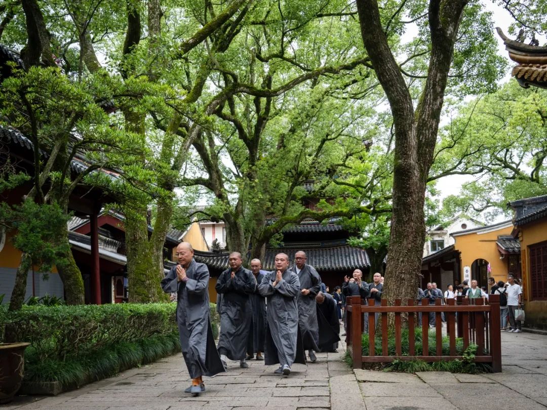 新闻｜忻州翰林寺方丈光泉大和尚领众朝礼普陀山观世音菩萨道场