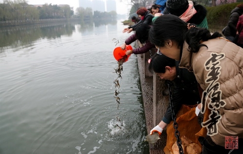 佛出家日&nbsp;翰林寺举行放生活动为昆明暴恐事件伤亡同胞祈福超度