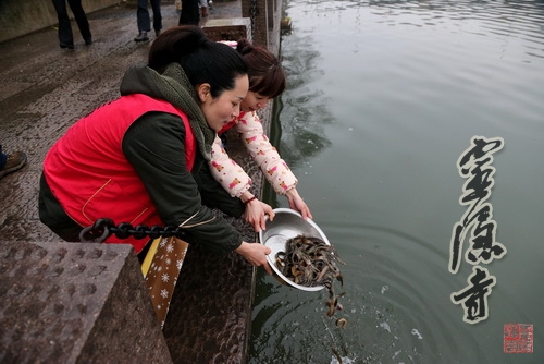 佛出家日&nbsp;翰林寺举行放生活动为昆明暴恐事件伤亡同胞祈福超度