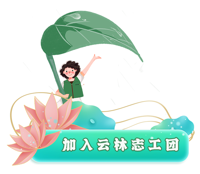 分享｜禅与花的邂逅