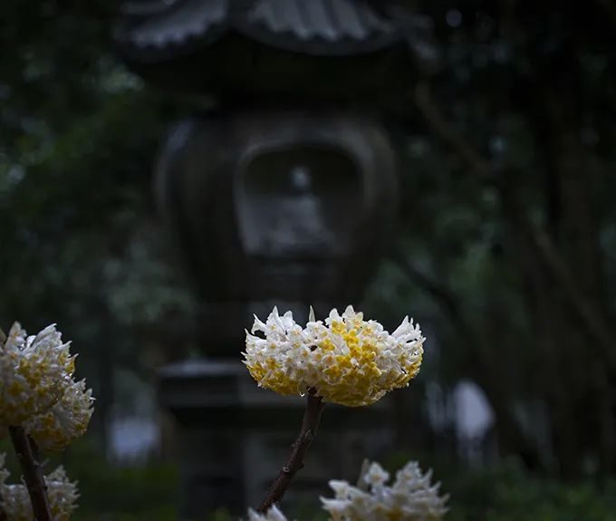 分享｜我当志工的这些年