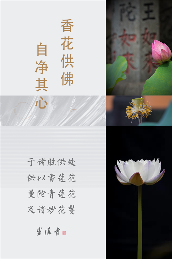 香花供佛&nbsp;自净其心