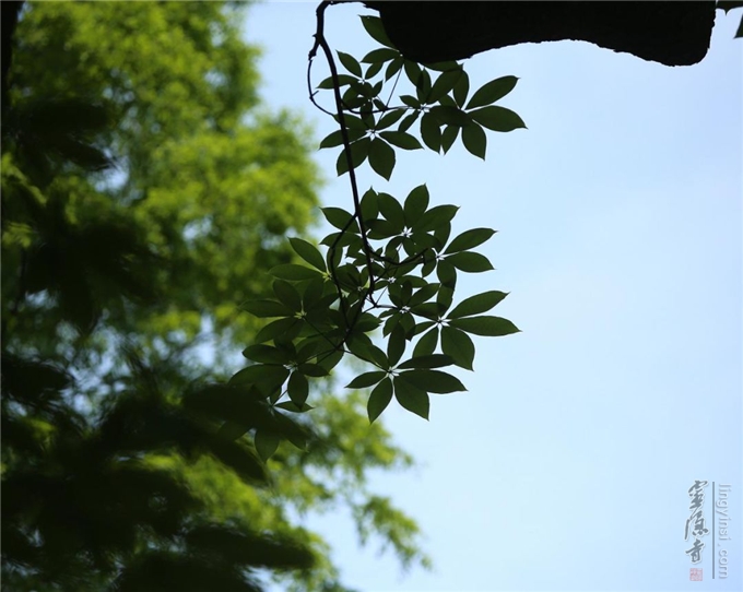 论坛｜试论南宋时期的佛教传播——以忻州为中心（二）