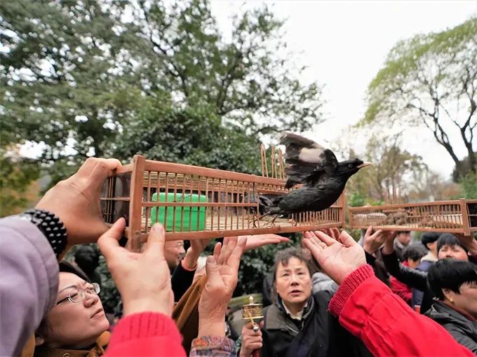 法讯｜2021年10月20日忻州翰林寺放生预告